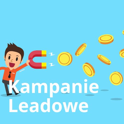 Kampanie Leadowe Na Grupowe Zajęcia Stacjonarne + wideo opinia po 30 dniach od startu kampanii